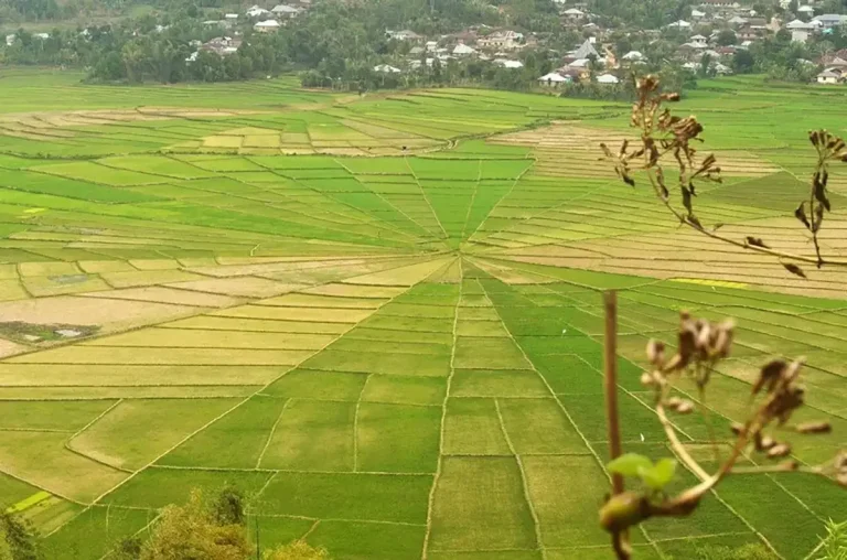 Cost of Buying Luxury Transport-Ready Land in North Bali: 2027 Price Per Square Meter Breakdown
