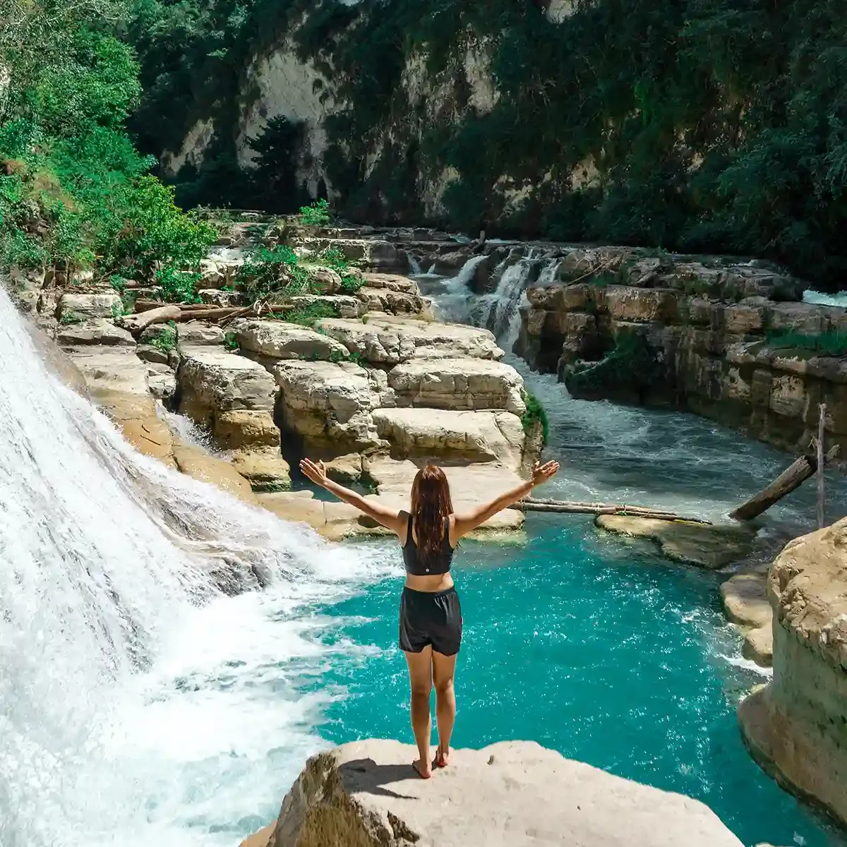 North Bali vs. South Bali for Luxury Transport Investment: Which Region Offers Higher Yield in