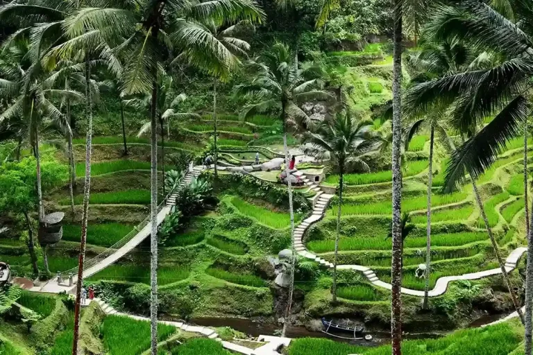 What Are the Tax Implications for Foreigners Buying Land in North Bali? A 2027 FAQ for Investor