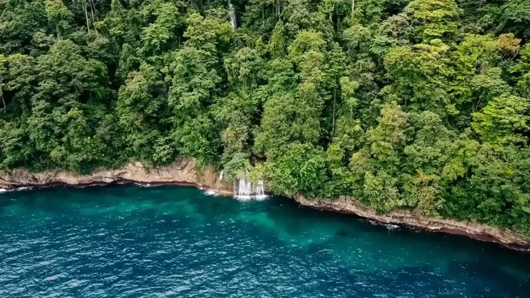 Invest North Bali