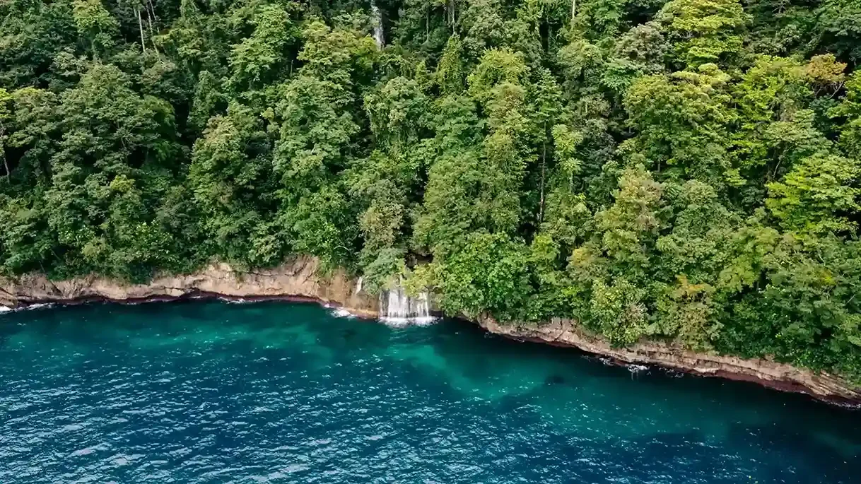Invest North Bali